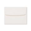 Very Vanilla Envelopes