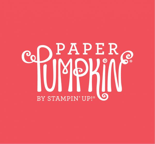 20 Alternatives - Paper Pumpkin December 2020 - Beary Comforting | Tracy Marie Lewis | www.stuffnthingz.com