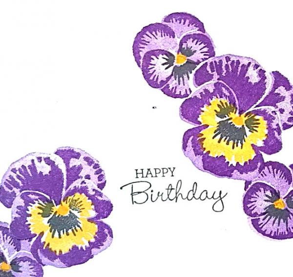 Simple Stamping Pansy Patch Card Fronts | Tracy Marie Lewis | www.stuffnthingz.com