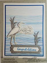 New Catalog Sneak Peek - Heron Congratulations Card | Tracy Marie Lewis | www.stuffnthingz.com