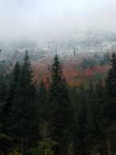 Stevens Pass Fall Colors With Snow | Tracy Marie Lewis | www.stuffnthingz.com
